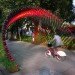 Portal of Awareness, marketing, urban design, green design, sustainable design, Nescafe, Rojkind Arquitectos, Mexico City, Mexico, arches, vines
