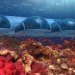poseidon undersea resorts, underwater hotel, fiji hotel, unusual hotel, submerged house
