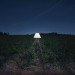 Caleb Charland, orange battery, citric acid battery, fruit-powered battery, eco-art, photography, clean energy, renewable energy, potato battery, apple battery, vinegar battery, design, eco-design, sustainable design
