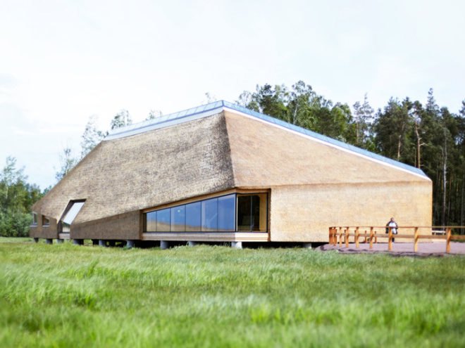 Takern Visitor Centre, Wingardhs, nesting roof, bird watching, sustainable design, green architecture, thatched roof, swedish design, green roof