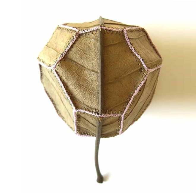 susanna bauer, crochet, embroidery, organic, natural objects, leaf