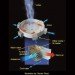 AVEtech Vortex Power, Louis Michaud, AVE wind power, Atmospheric Vortex Engine, Clean energy, renewable energy, cheap green energy, AVEtech green energy
