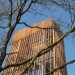 River Vecht, Ateliereen, Dalfsen municipality, platform, timber, viewing tower, observation tower, ultraslim viewing tower, nature, green design, sustainable design, eco-design