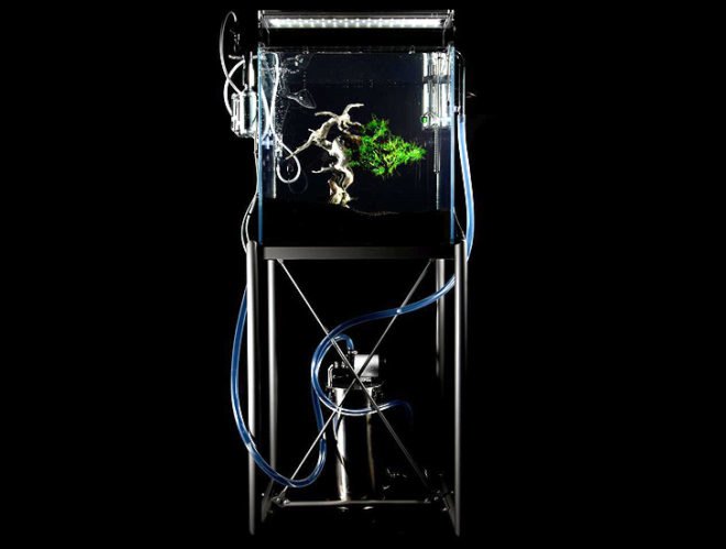green design, eco design, sustainable design, Makoto Azuma, LEGO Bonsai, underwater bonsai, submerged bonsai, traditional bonsai