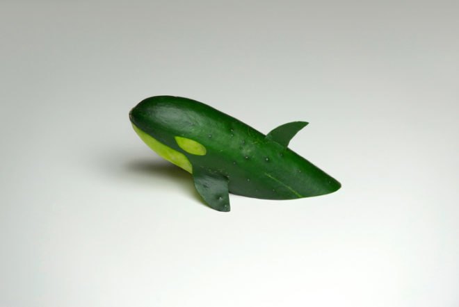 reen design, eco design, sustainable design, Brock Davis, Food photography, food art, edible art, hipster banana, banana trucker hat, broccoli treehouse, cucumber killer whale, Dark side of the Dorito, gummy bearskin rug