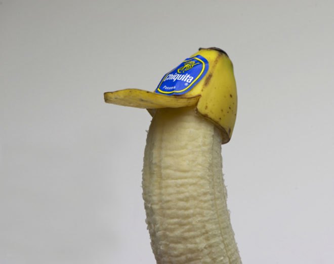 reen design, eco design, sustainable design, Brock Davis, Food photography, food art, edible art, hipster banana, banana trucker hat, broccoli treehouse, cucumber killer whale, Dark side of the Dorito, gummy bearskin rug