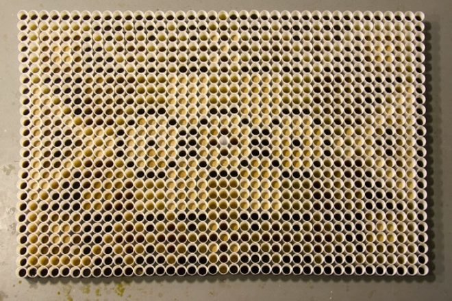 recycled materials, Dutch Design week, WE MAKE CARPETS, The Netherlands, plastic, hardware, disposable goods, green design, eco-art, sustainable design, green art, temporary design