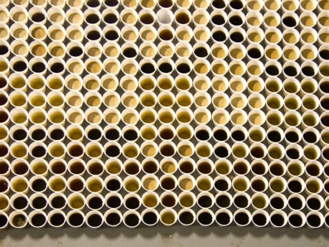 recycled materials, Dutch Design week, WE MAKE CARPETS, The Netherlands, plastic, hardware, disposable goods, green design, eco-art, sustainable design, green art, temporary design