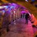 ColoniaTecne, Bios Design Collective, led lighting, temporary pavilion, san jose, biomimicry, nature-inspired design