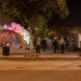 ColoniaTecne, Bios Design Collective, led lighting, temporary pavilion, san jose, biomimicry, nature-inspired design