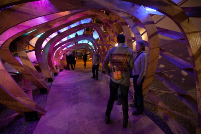 ColoniaTecne, Bios Design Collective, led lighting, temporary pavilion, san jose, biomimicry, nature-inspired design