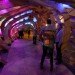 ColoniaTecne, Bios Design Collective, led lighting, temporary pavilion, san jose, biomimicry, nature-inspired design