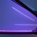 ColoniaTecne, Bios Design Collective, led lighting, temporary pavilion, san jose, biomimicry, nature-inspired design
