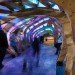 ColoniaTecne, Bios Design Collective, led lighting, temporary pavilion, san jose, biomimicry, nature-inspired design