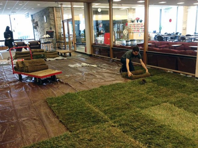 green design, eco design, sustainable design, Olin Library, indoor grass, Cornell University, Cornell University Human Ecology Department, indoor garden, grass in library