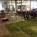 green design, eco design, sustainable design, Olin Library, indoor grass, Cornell University, Cornell University Human Ecology Department, indoor garden, grass in library