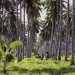green design, eco design, sustainable design, eco luxury, eco travel, eco luxury travel, Cuixmala Resort, eco resorts mexico, Pacific Coast Mexico resorts, Sir James Goldsmith, ecological reserves Mexico, Turtle sanctuary