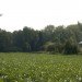 Ecologic Pavilion, Studio 1984, straw bale cabin, straw bale, eco friendly cabin, france,
