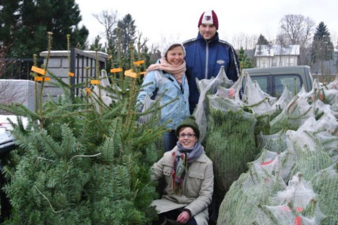Green Rabbit Live Christmas Tree, living christmas tree, green rabbit nursery, austria, eco christmas tree, green christmas tree