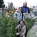 Green Rabbit Live Christmas Tree, living christmas tree, green rabbit nursery, austria, eco christmas tree, green christmas tree
