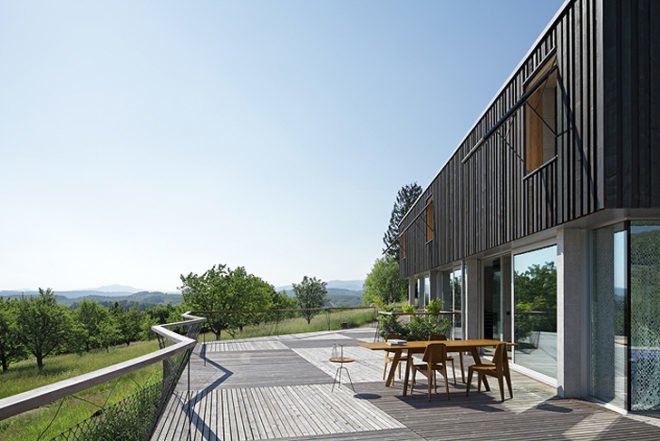 green design, eco design, sustainable design, HHF Architects, House D, basel Switzerland, glass curtains, submerged home, timber home, open plan home