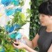 Invisible Farm, MisoSoupDesign, Taiwan, vertical garden