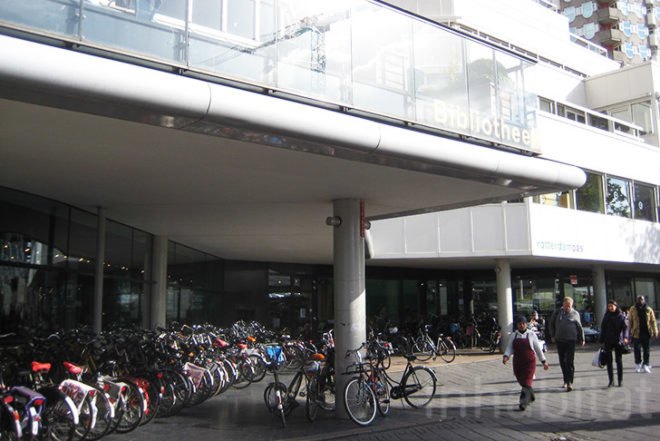 Rotterdam Central Library, Ana Lisa Alperovich, Rotterdam, Dutch design, beehive, green roof, Jacob Bered Bakema, NAI (Netherlands Architecture Institute), books, DVDs, CDs, library, stepped building, natural light, Architecture, Daylighting, green technology, Animals,
