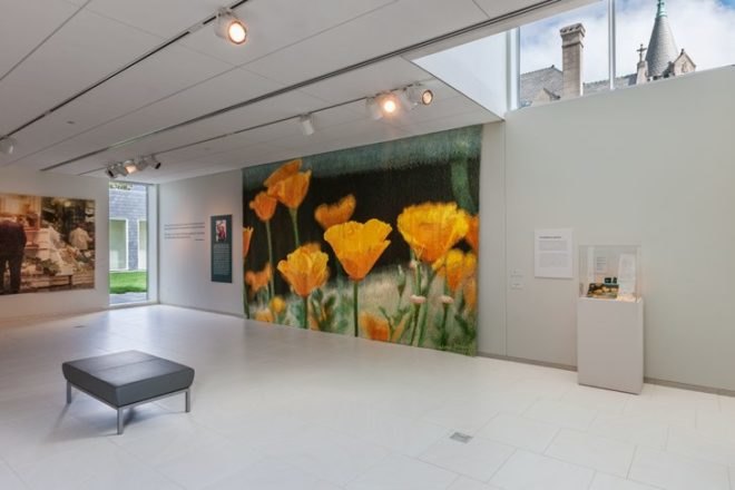 Nelson Cultural Center, HGA, American Swedish Institute, leed gold, eco museum, green roof, swedish design, sustainable museum