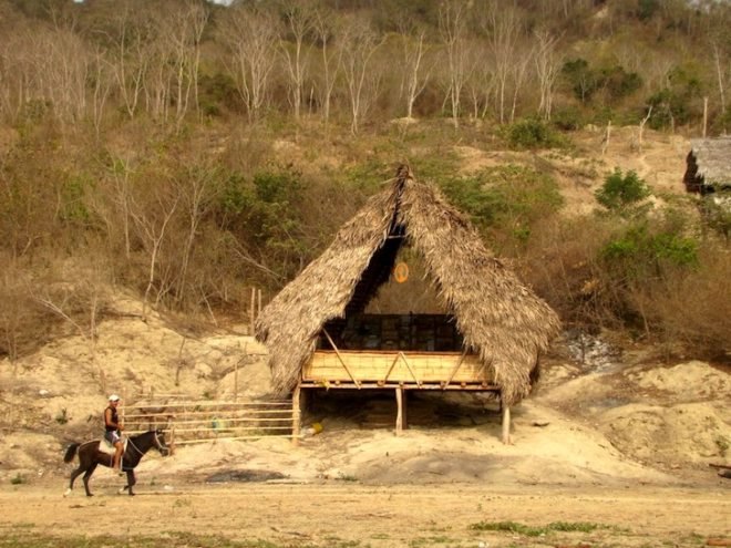 Ecuador, fishing, agriculture, natural materials, sustainable materials, local materials, boat shaped school, Nueva Esperanza School, bamboo, timber, straw, green design, sustainable design, eco-design, vernacular architecture