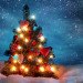 Christmas, winter, holidays, green holidays, green christmas, eco-friendly holidays, consumerism, materialism, charity, gifts, christmas tree, holiday food, kindness to animals