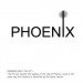 Phoenix Pin, BIG, novawest, phoenix observation tower, phoenix, observation tower, the pin