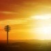 Phoenix Pin, BIG, novawest, phoenix observation tower, phoenix, observation tower, the pin