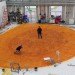 Royal Opera House Workshop, Nicholas Hare Architects, thurrock workshop, royal opera house, green roof, sedum roof, daylighting