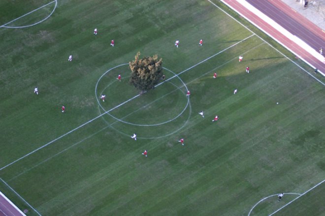 green design, eco design, sustainable design, Chile, Augusto Pinochet, National Stadium, Sebastian Errazuriz, The Tree memorial of a Concentration Camp, temporary park space