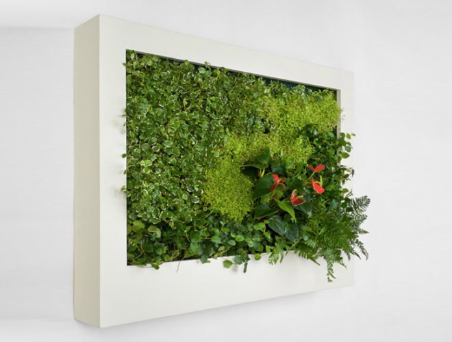 Terapia Urbana, Slimgreenwall, living wall, green wall, sustainable design, green design, gardening, green interiors, Lourdes Zarza, Ayesa Advanced Technologies, La Cartuja, Seville, spain