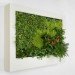 Terapia Urbana, Slimgreenwall, living wall, green wall, sustainable design, green design, gardening, green interiors, Lourdes Zarza, Ayesa Advanced Technologies, La Cartuja, Seville, spain