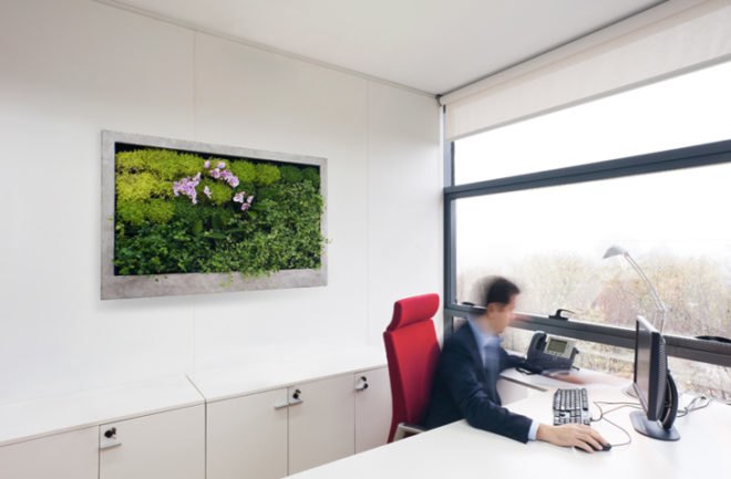 Terapia Urbana, Slimgreenwall, living wall, green wall, sustainable design, green design, gardening, green interiors, Lourdes Zarza, Ayesa Advanced Technologies, La Cartuja, Seville, spain