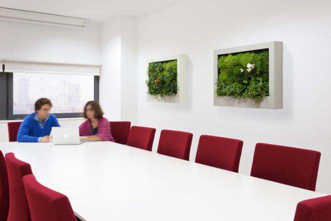 Terapia Urbana, Slimgreenwall, living wall, green wall, sustainable design, green design, gardening, green interiors, Lourdes Zarza, Ayesa Advanced Technologies, La Cartuja, Seville, spain