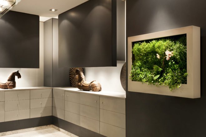 Terapia Urbana, Slimgreenwall, living wall, green wall, sustainable design, green design, gardening, green interiors, Lourdes Zarza, Ayesa Advanced Technologies, La Cartuja, Seville, spain