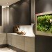 Terapia Urbana, Slimgreenwall, living wall, green wall, sustainable design, green design, gardening, green interiors, Lourdes Zarza, Ayesa Advanced Technologies, La Cartuja, Seville, spain