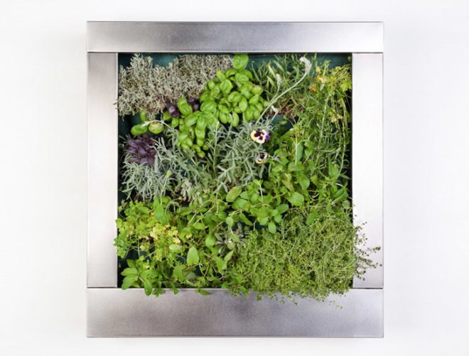 Terapia Urbana, Slimgreenwall, living wall, green wall, sustainable design, green design, gardening, green interiors, Lourdes Zarza, Ayesa Advanced Technologies, La Cartuja, Seville, spain