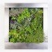 Terapia Urbana, Slimgreenwall, living wall, green wall, sustainable design, green design, gardening, green interiors, Lourdes Zarza, Ayesa Advanced Technologies, La Cartuja, Seville, spain