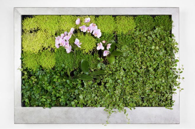 Terapia Urbana, Slimgreenwall, living wall, green wall, sustainable design, green design, gardening, green interiors, Lourdes Zarza, Ayesa Advanced Technologies, La Cartuja, Seville, spain