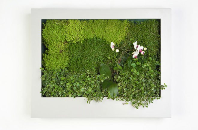 Terapia Urbana, Slimgreenwall, living wall, green wall, sustainable design, green design, gardening, green interiors, Lourdes Zarza, Ayesa Advanced Technologies, La Cartuja, Seville, spain