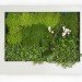 Terapia Urbana, Slimgreenwall, living wall, green wall, sustainable design, green design, gardening, green interiors, Lourdes Zarza, Ayesa Advanced Technologies, La Cartuja, Seville, spain