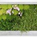 Terapia Urbana, Slimgreenwall, living wall, green wall, sustainable design, green design, gardening, green interiors, Lourdes Zarza, Ayesa Advanced Technologies, La Cartuja, Seville, spain