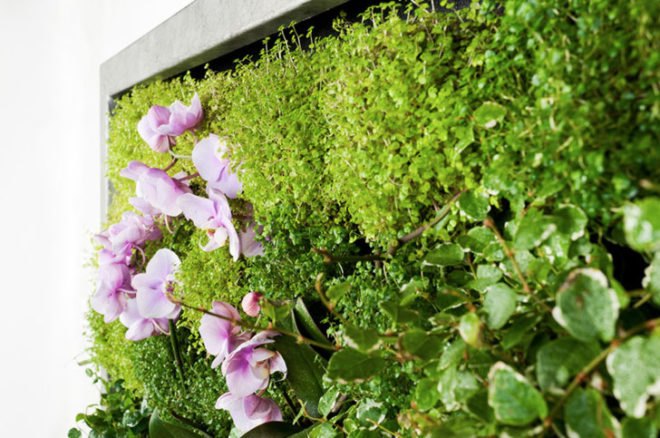 Terapia Urbana, Slimgreenwall, living wall, green wall, sustainable design, green design, gardening, green interiors, Lourdes Zarza, Ayesa Advanced Technologies, La Cartuja, Seville, spain
