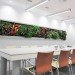 Terapia Urbana, Slimgreenwall, living wall, green wall, sustainable design, green design, gardening, green interiors, Lourdes Zarza, Ayesa Advanced Technologies, La Cartuja, Seville, spain