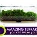 Terrarium, top 10, DIY, holiday, gift guide, gardening, plants, christmas