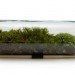 Terrarium, top 10, DIY, holiday, gift guide, gardening, plants, christmas